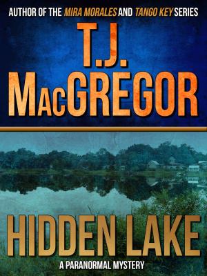 Cover of the book Hidden Lake by Chris Wraight
