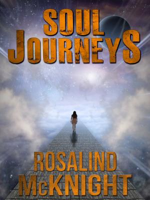 Book cover of Soul Journeys