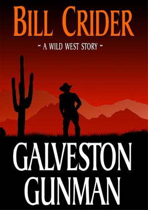 Cover of the book Galveston Gunman by Al Sarrantonio