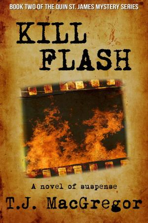 Cover of the book Kill Flash by C. T. Phipps