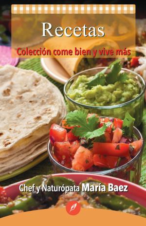 Cover of the book Recetas by Amelia Levy