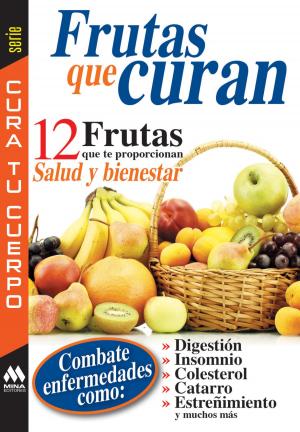 Cover of the book Frutas que curan by María Baez