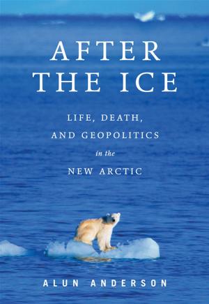 Cover of the book After the Ice by Michael Belfiore