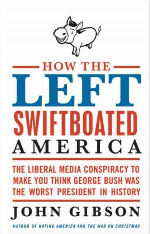 Cover of the book How the Left Swiftboated America by Marianne Stillings