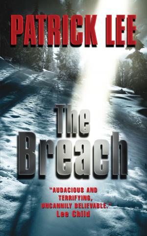 Cover of the book The Breach by Sari Robins