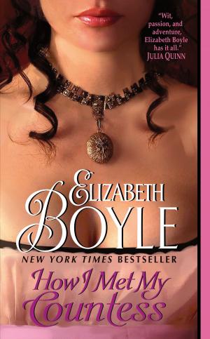 bigCover of the book How I Met My Countess by 