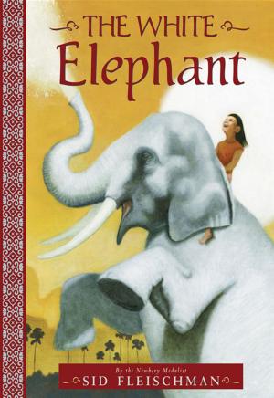 Book cover of The White Elephant
