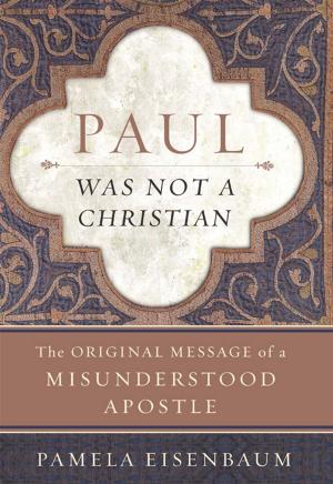 Cover of the book Paul Was Not a Christian by Desmond Tutu, Mpho Tutu