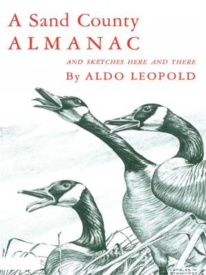 bigCover of the book A Sand County Almanac : With Other Essays On Conservation From Round River by 