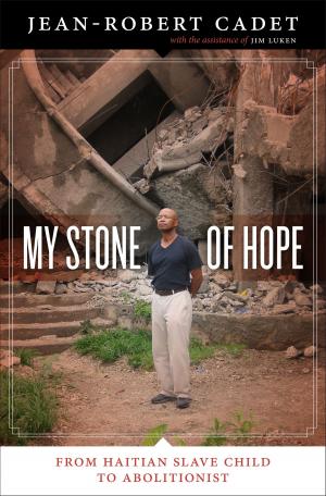 Cover of the book My Stone of Hope by Bruce Maddy-Weitzman