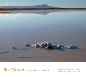 Cover of the book Red Desert by Karl G. Heider