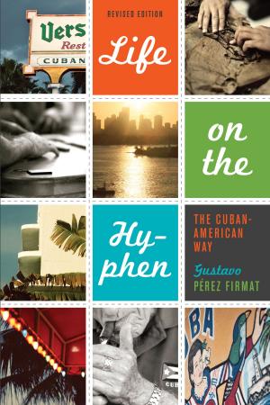 Cover of the book Life on the Hyphen by Avrom Fleishman