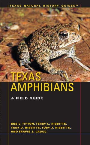 Cover of the book Texas Amphibians by Linda C. Farthing, Benjamin H. Kohl