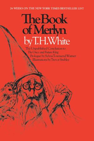 Cover of the book The Book of Merlyn by Christine Eber, Antonia