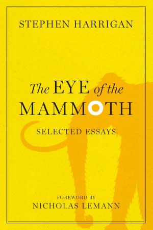 Book cover of The Eye of the Mammoth