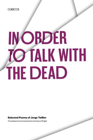 Cover of the book In Order to Talk with the Dead by Ann Lauterbach