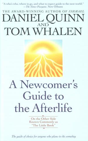 Book cover of A Newcomer's Guide to the Afterlife