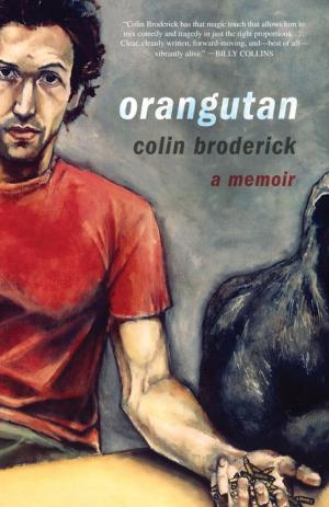 Book cover of Orangutan
