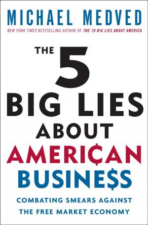 Book cover of The 5 Big Lies About American Business