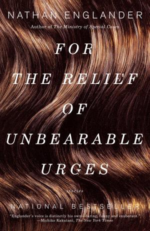 Cover of the book For the Relief of Unbearable Urges by Laura Kipnis
