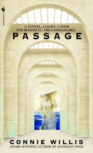 Cover of the book Passage by Paul Marriner