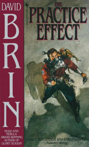 Cover of the book The Practice Effect by Karl Taro Greenfeld