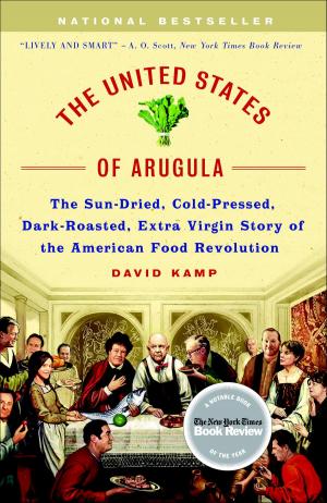 Cover of the book The United States of Arugula by Christine Metzger