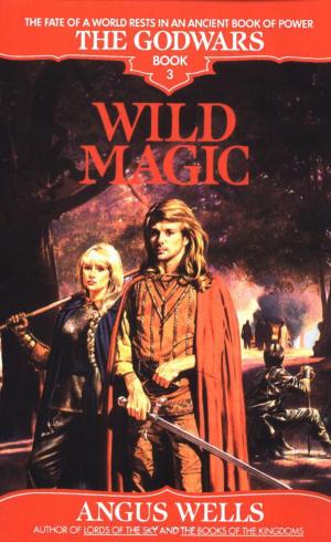 Cover of the book Wild Magic by Adam Dreece