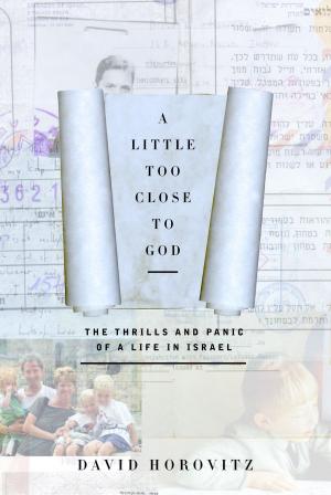 Cover of the book A Little Too Close to God by Jill Lepore