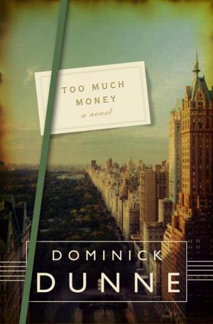 Book cover of Too Much Money