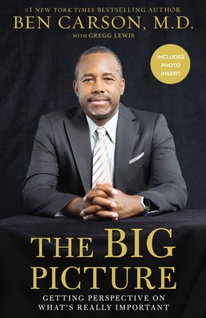 Cover of the book The Big Picture by Zondervan