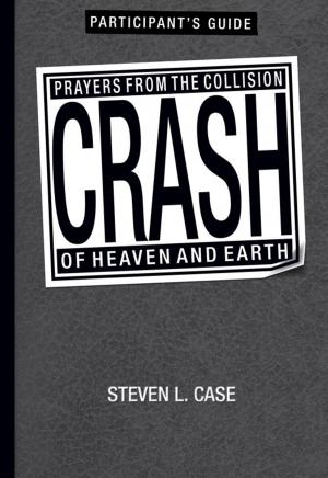 Book cover of Crash Participant's Guide