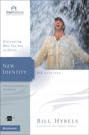 Cover of the book New Identity by Don Brown