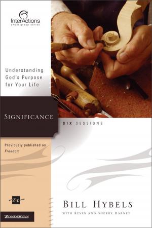 Cover of the book Significance by Lee Strobel, Garry D. Poole