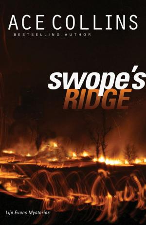 Cover of the book Swope's Ridge by Melody Carlson