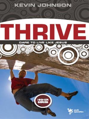 Cover of the book Thrive by Kelly Irvin