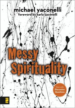Cover of the book Messy Spirituality by P J Lyons