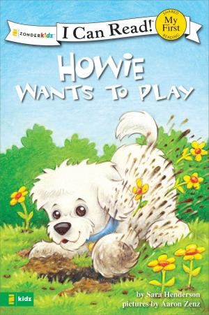 Book cover of Howie Wants to Play