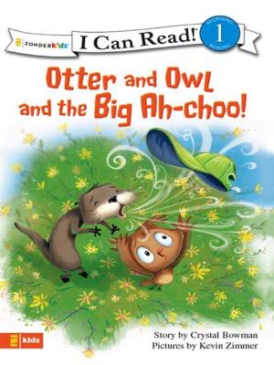 Cover of the book Otter and Owl and the Big Ah-choo! by Marsha Hubler