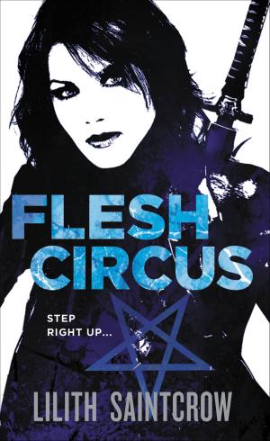 Cover of the book Flesh Circus by Gail Z. Martin