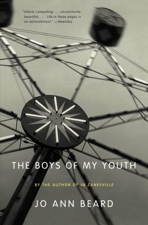 bigCover of the book The Boys of My Youth by 