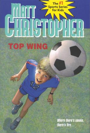 bigCover of the book Top Wing by 