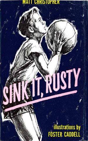 Cover of the book Sink it Rusty by Matt Christopher