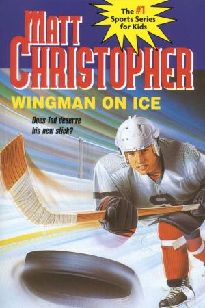 Cover of the book Wingman on Ice by Matt Christopher