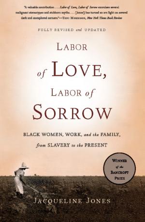 Book cover of Labor of Love, Labor of Sorrow