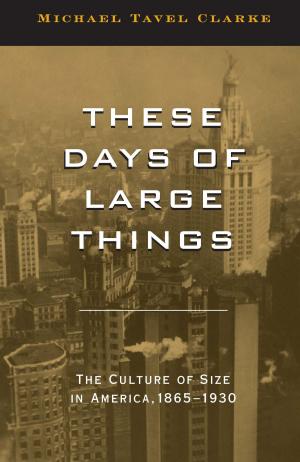 Cover of the book These Days of Large Things by Linda Watkins-Goffman