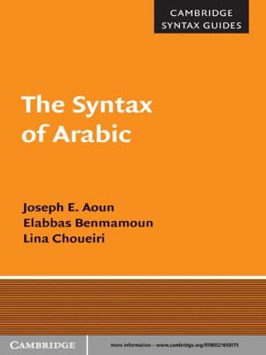 Cover of the book The Syntax of Arabic by Henk A. Dijkstra, Emilio Hernández-García, Cristina Masoller, Marcelo Barreiro