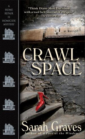 Cover of the book Crawlspace by Rebecca Cramer