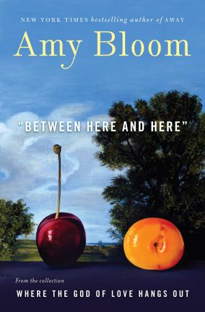 Cover of the book Between Here and Here (short story) by Elizabeth Berg