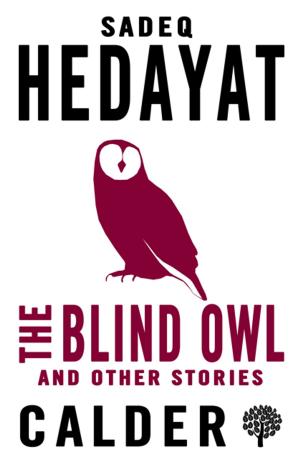 Cover of the book The Blind Owl and Other Stories by Peter Conradi